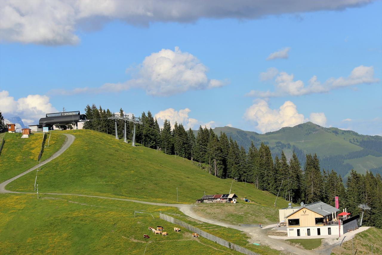 Hotel Schmiedhof Alm Zell am See Exterior foto